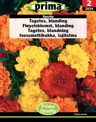 Tagetes, blanding Sparky frø_0