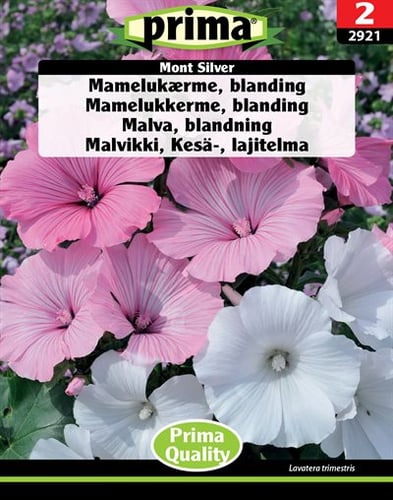 Mamelukærme, blanding Mont Silver frø_0