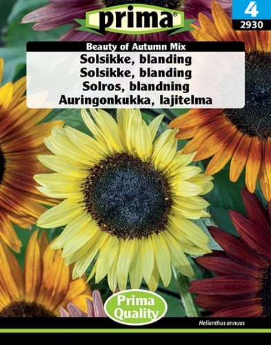 Solsikke, blanding Beauty of Autumn Mix frø_0