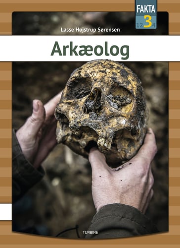 Arkæolog - picture
