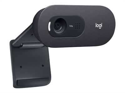 Logitech - C505e HD Webcam, brownbox - picture