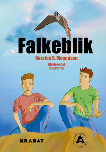 Falkeblik - picture