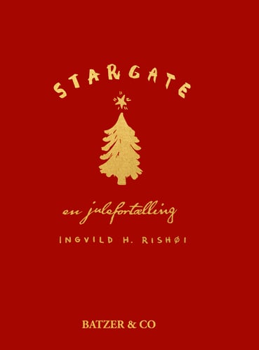 Stargate – en julefortælling - picture