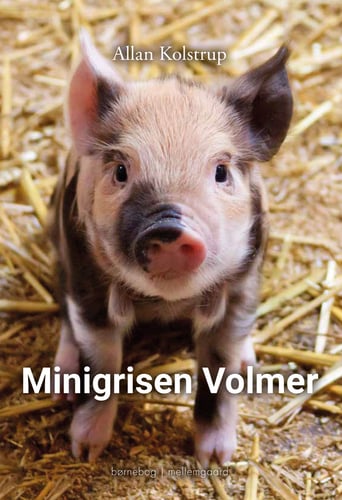 Minigrisen Volmer - picture