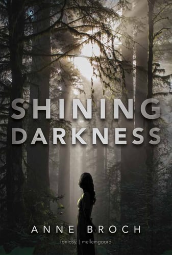 Shining Darkness_0