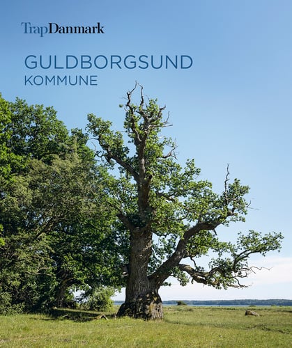 Trap Danmark: Guldborgsund Kommune - picture