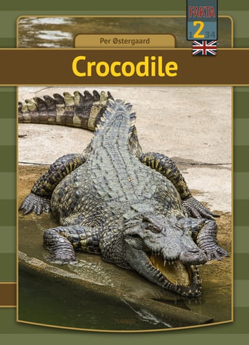 Crocodile - picture