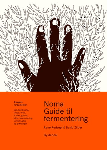 Noma Guide til fermentering_1