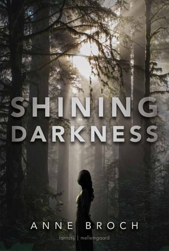 Shining Darkness_1