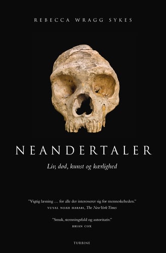 Neandertaler - picture