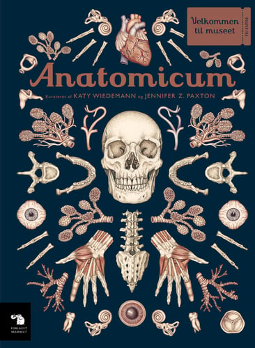 Anatomicum_0