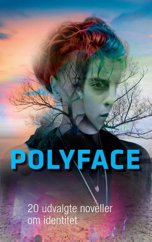 Polyface_1