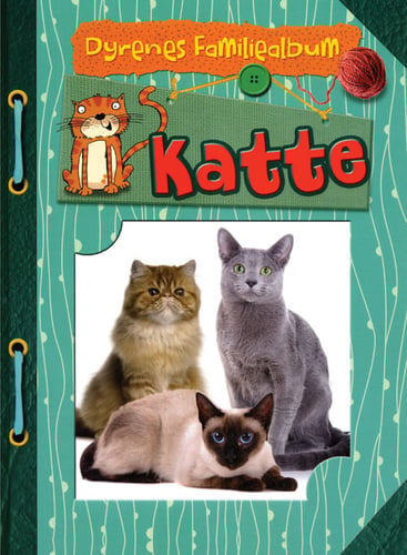 Katte - picture
