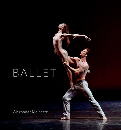 Ballet - picture