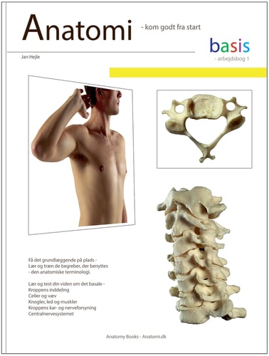 Anatomi - basis - Arbejdsbog 1_1