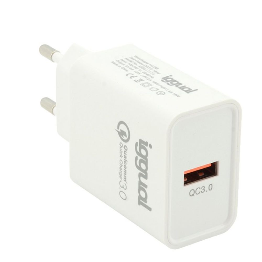 Wall Charger iggual IGG317174_0