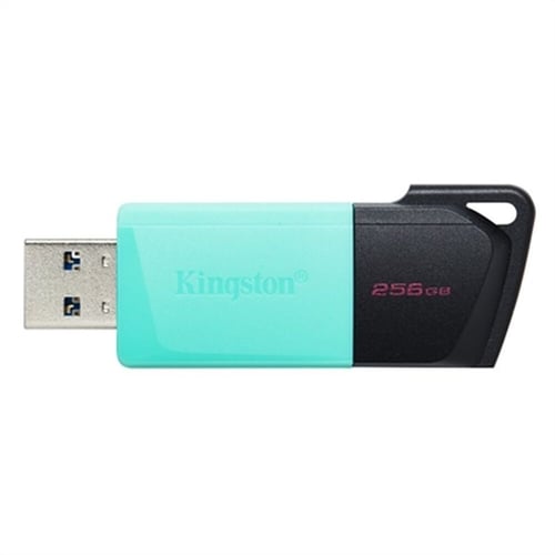 "USB-stik Kingston DataTraveler DTXM 256 GB 256 GB"_0