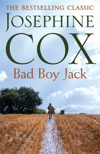 Bad Boy Jack - picture