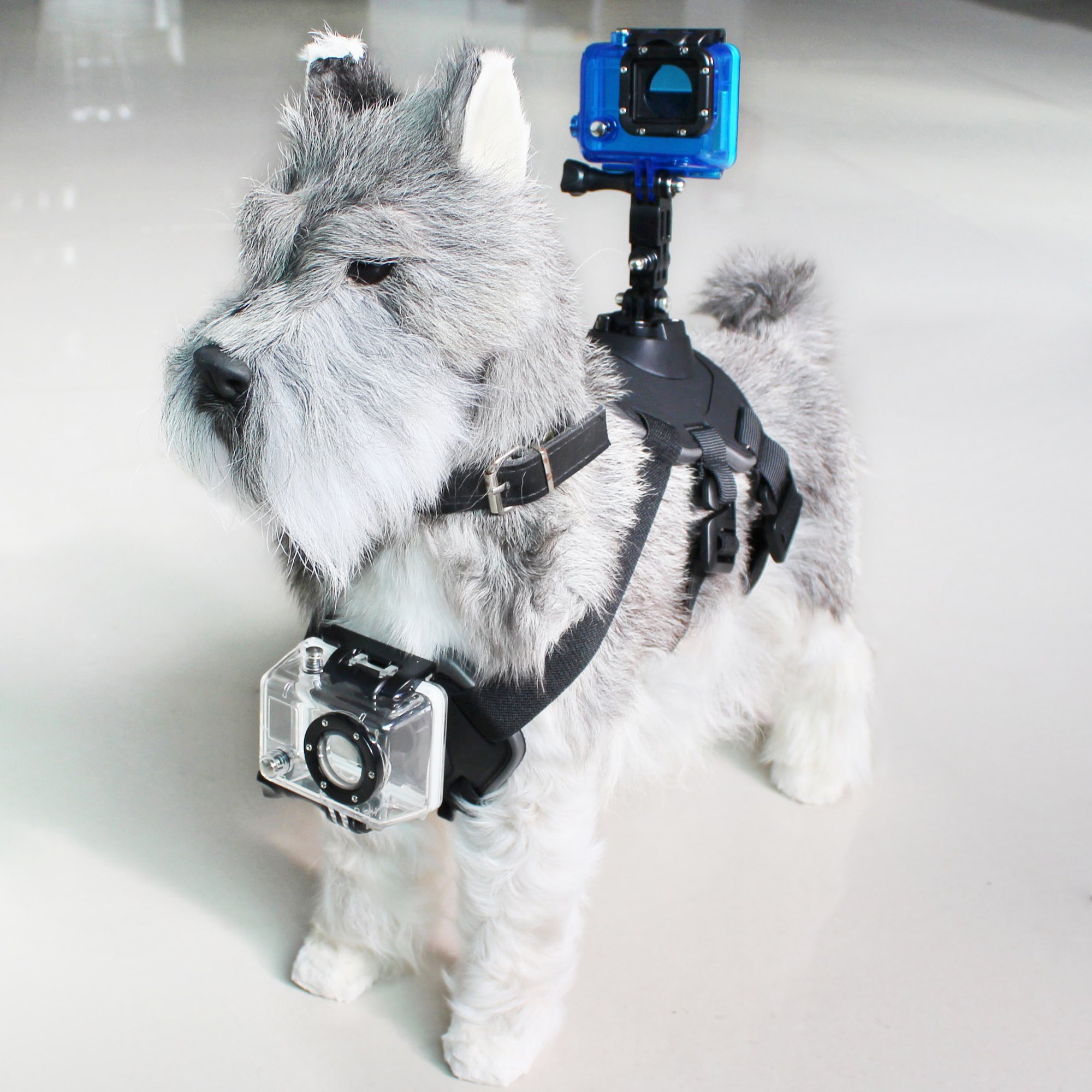 Pet Harness with Support for Sports Camera KSIX Black_0