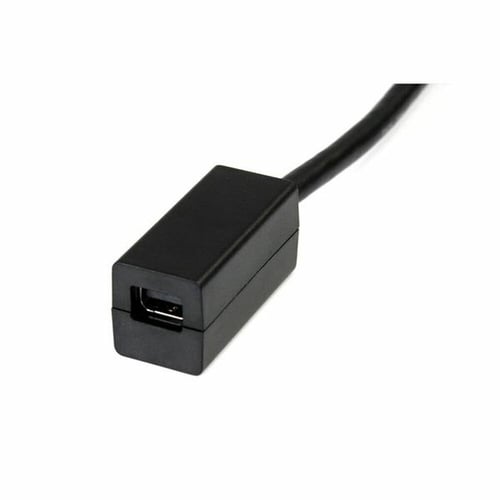 Mini DisplayPort til DisplayPort-adapter Startech DP2MDPMF6IN 4K Ultra HD Sort_1