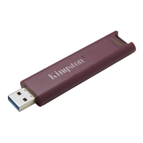 "USB-stik Kingston DTMAXA/256GB 256 GB"_2