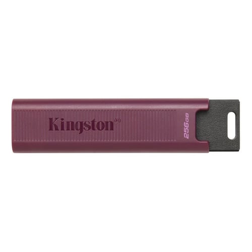 "USB-stik Kingston DTMAXA/256GB 256 GB"_4
