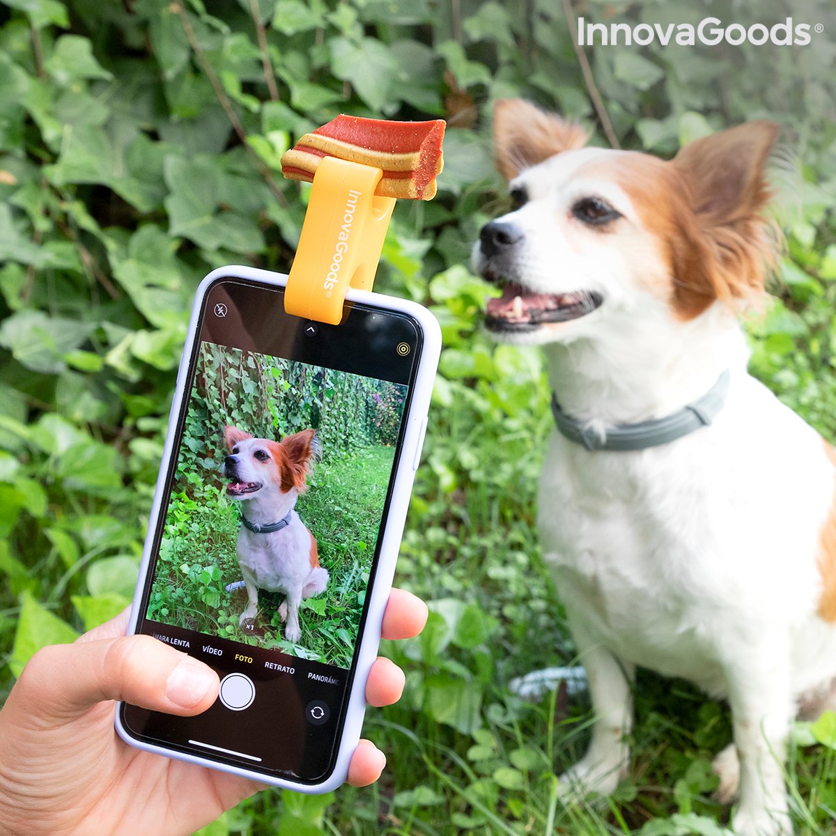 Selfie Clip for Pets Pefie InnovaGoods_0