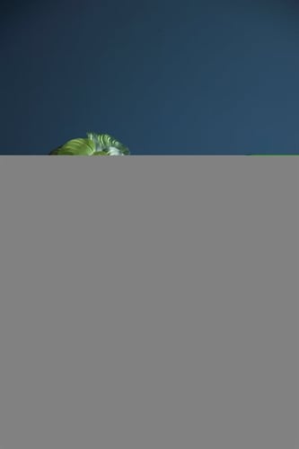 Väckarklocka Mantel mörkgrön      _1