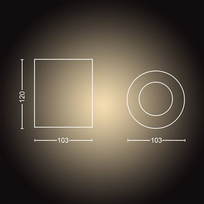 Philips Hue White ambiance Pillar enkel spot_1