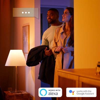 Philips Hue white ambiance Runner dobbelt spotlight_4