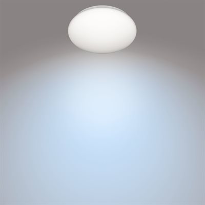 Philips Funktionel Loftslampe_3