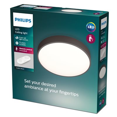 Philips my2399 Loftslampe_1