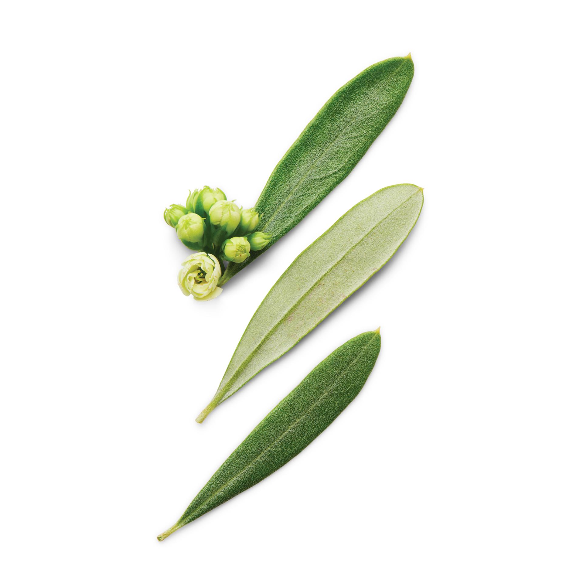 Armani Code Pour Homme Deo Stick_1