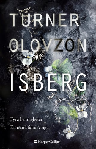 Isberg - picture