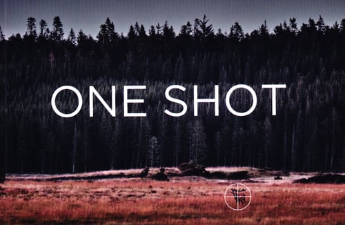 One Shot - picture
