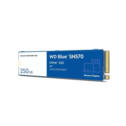 Harddisk Western Digital BLUE 250 GB SSD_3