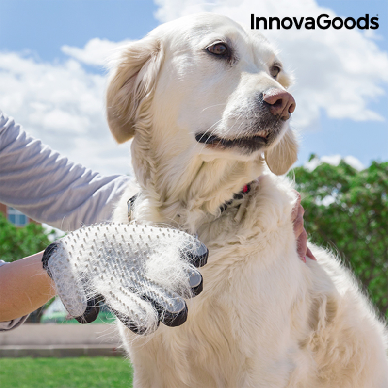 InnovaGoods Pet Brush & Massage Glove _3