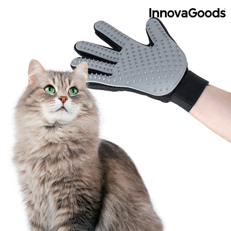 InnovaGoods Pet Brush & Massage Glove _18