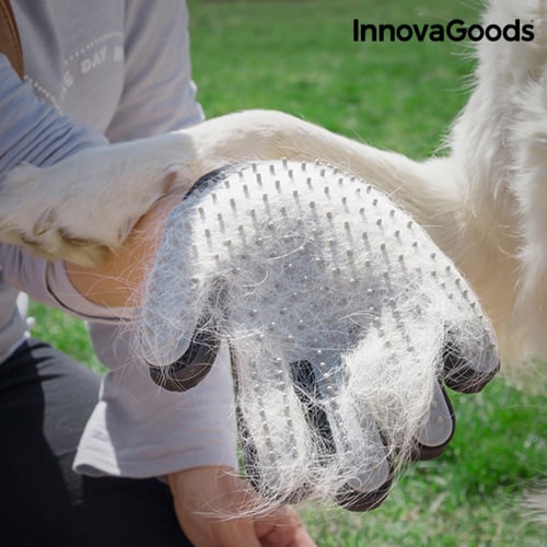 InnovaGoods Pet Brush & Massage Glove _20