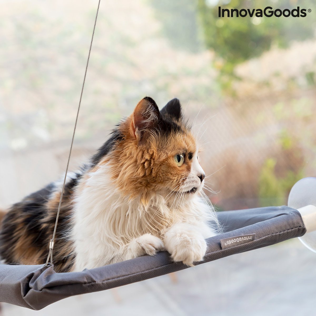 Hanging Cat Hammock Catlax InnovaGoods_28