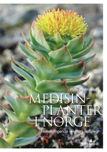 Medisinplanter i Norge : helsebringende vekster i naturen_0