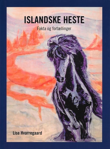 Islandske heste - picture