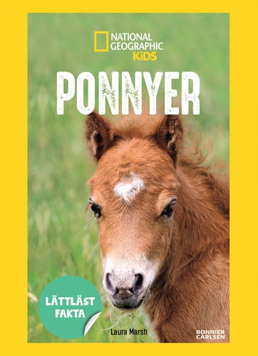 Ponnyer_1