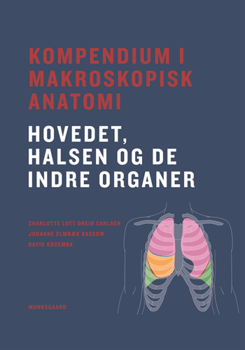 Kompendium i makroskopisk anatomi - hovedet, halsen og de indre organer_1