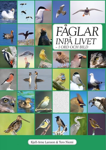 Fåglar inpå livet : i ord och bild - picture