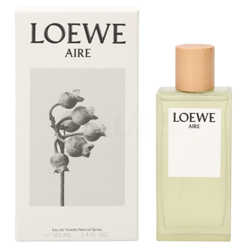 Loewe Aire Edt Spray 100 ml - picture