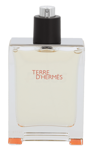 Hermes Terre D'Hermes Edt Spray 100 ml_1