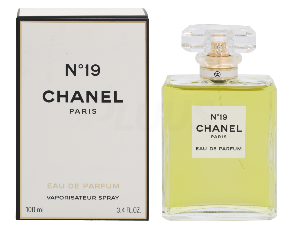 Chanel No 19 Edp Spray 100.0 ml_1
