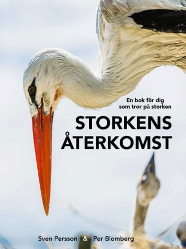 Storkens återkomst : en bok för dig som tror på storken_0