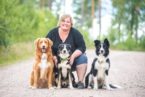 Blygerhundar : så gör du din hund till en superhjälte_0